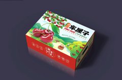 車?yán)遄影b盒定制，從視覺上增強(qiáng)產(chǎn)品的儀式感